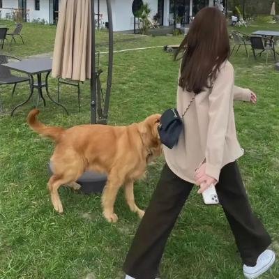 山丹丹花儿开